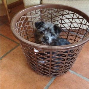 Meet your Posher, Rob